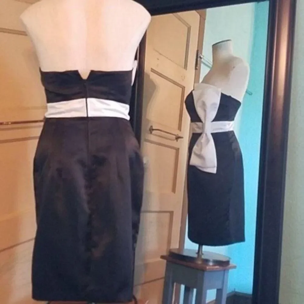 Betsey Johnson Dress Evening Cocktail Party Formal Sleeveless Woman's WOMAN'S 4